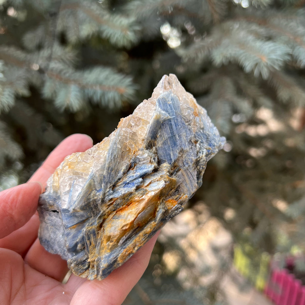 Kianit albastru (Cianit) piatra bruta din Zimbabwe model 9, druzy.ro, cristale 3