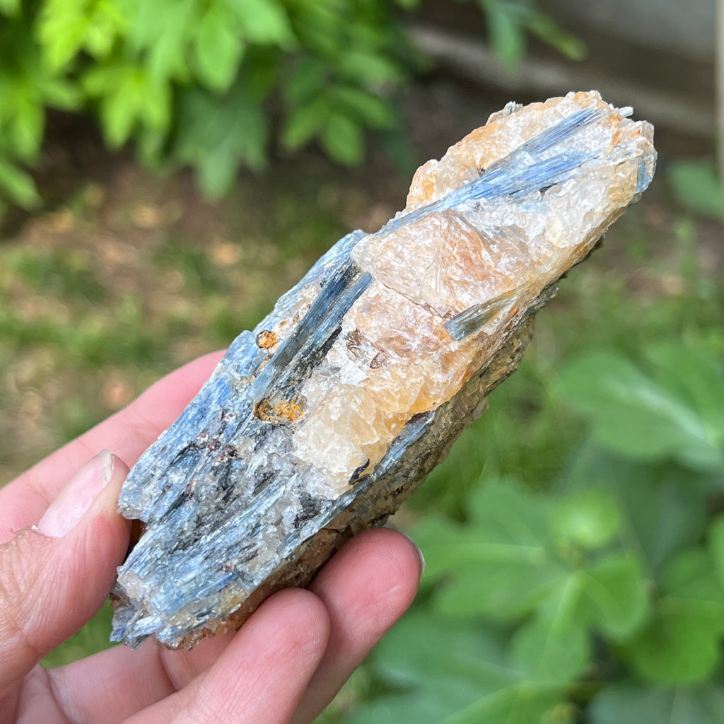 Kianit albastru (Cianit) piatra bruta din Zimbabwe model 14, pietre semipretioase - druzy.ro 3 