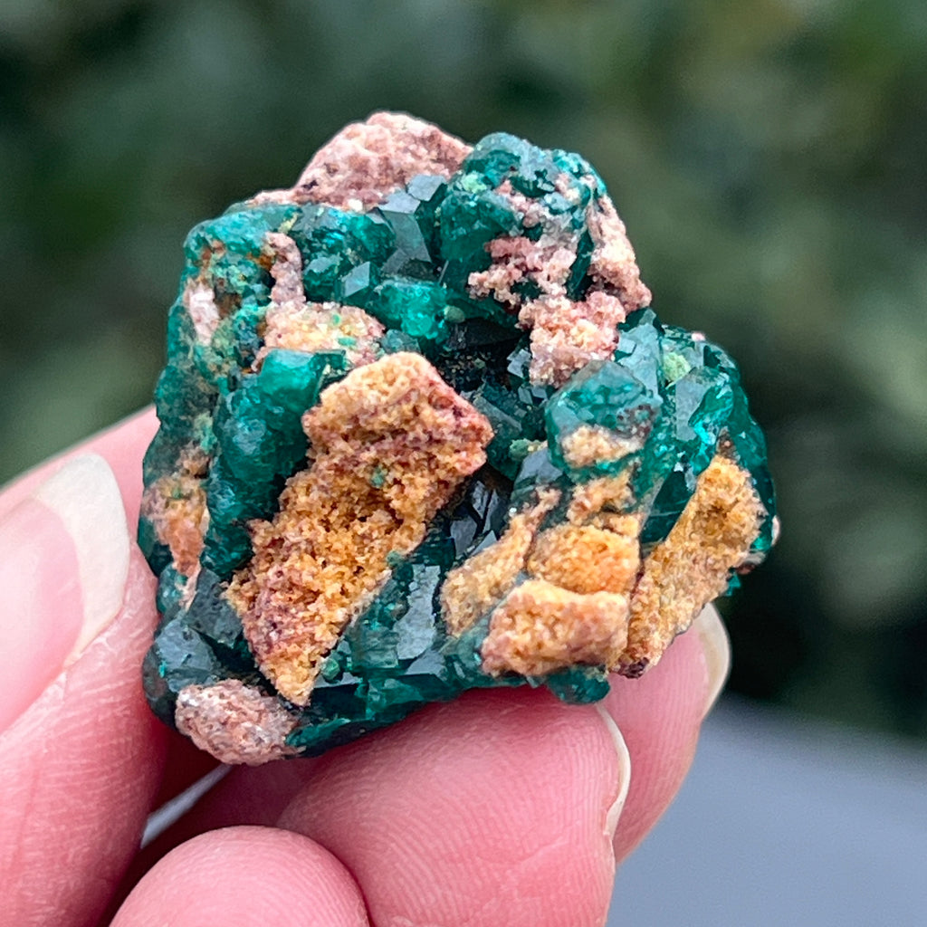 Dioptaz cluster din Congo model 8, pietre semipretioase - druzy.ro 4 