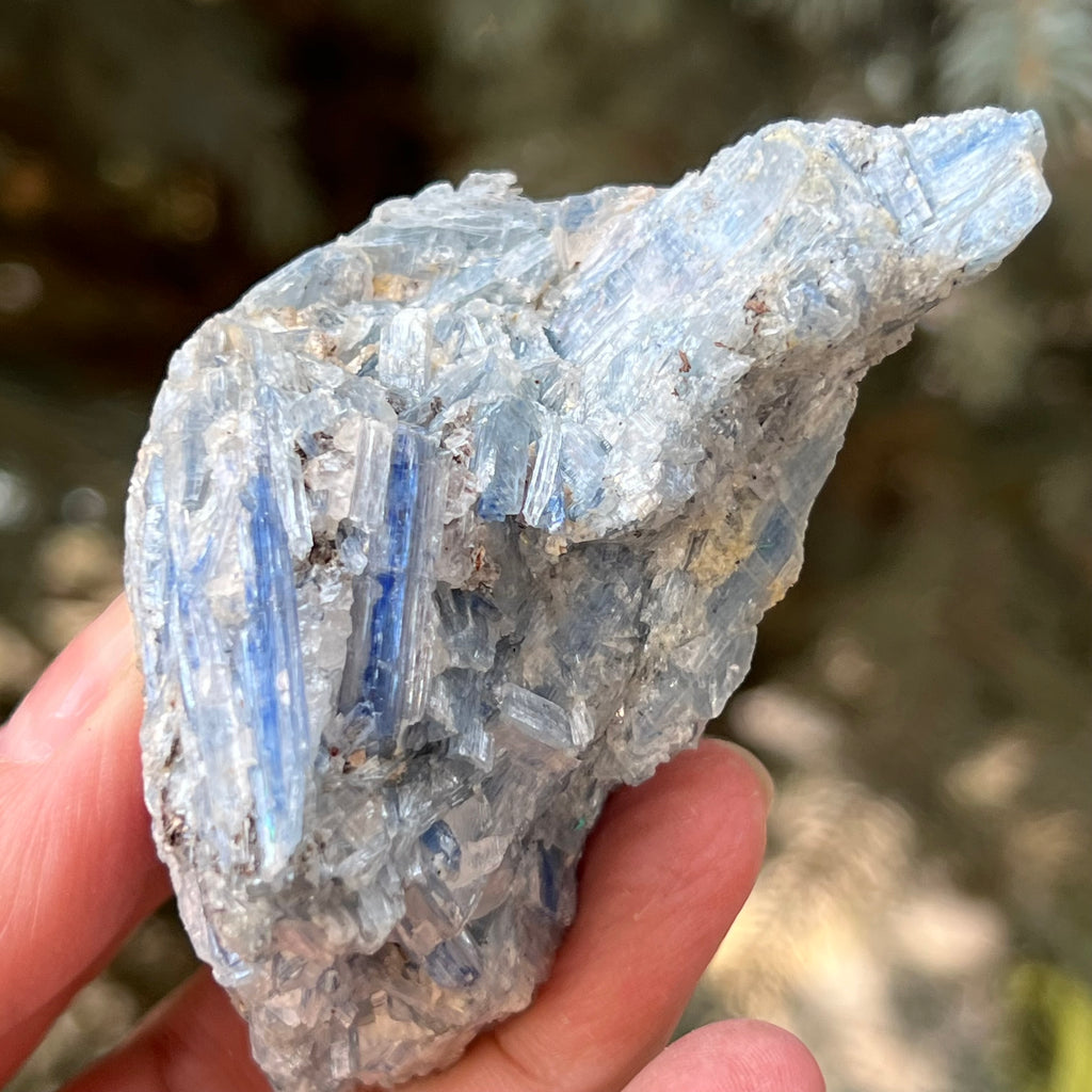 Kianit albastru (Cianit) piatra bruta din Zimbabwe model 10, druzy.ro, cristale 2