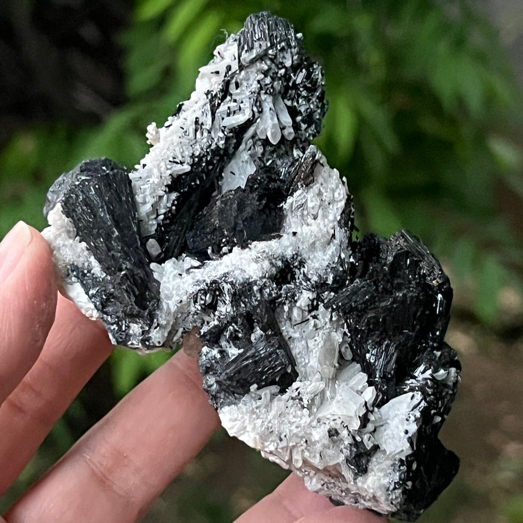 Cluster turmalina neagra model 11 din Erongo, Namibia, pietre semipretioase - druzy.ro 9 