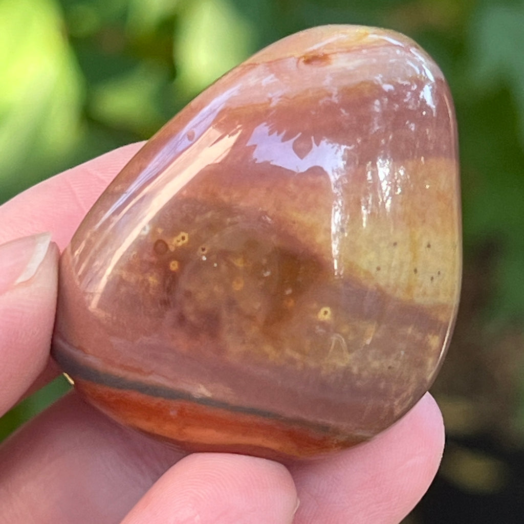 Jasp policrom palmstone m9, pietre semipretioase - druzy.ro 7 