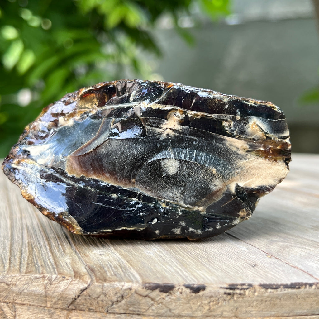 Chihlimbar fosil din Indonezia – Rășină naturală | Model 1, pietre semipretioase - druzy.ro 1 
