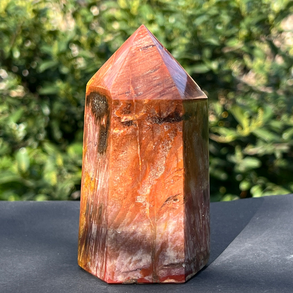 Obelisc lemn pietrificat m2, pietre semipretioase - druzy.ro 2 