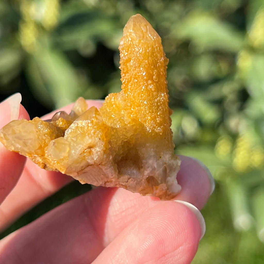 Cluster lemonit / cuart spirit solar Africa de Sud model 11, pietre semipretioase - druzy.ro 3 