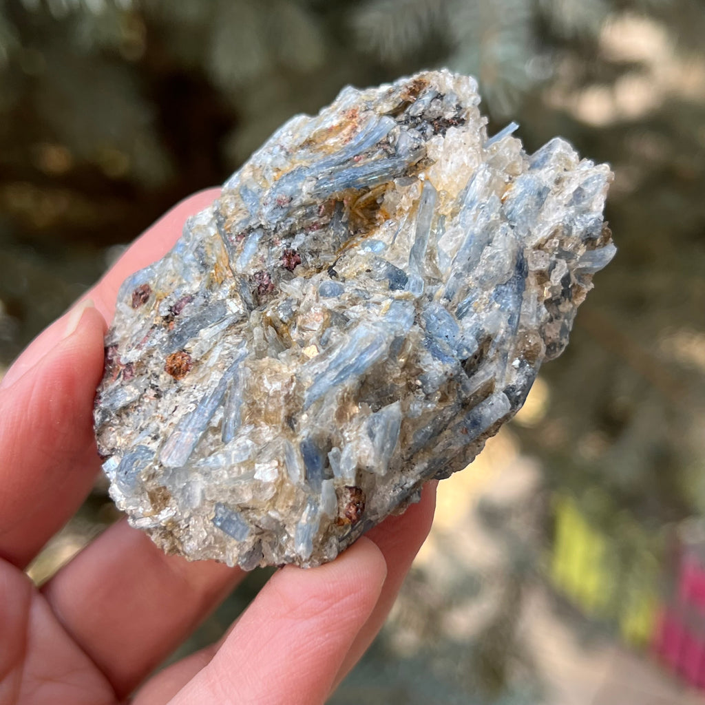 Kianit albastru (Cianit) piatra bruta din Zimbabwe model 5, druzy.ro, cristale 3
