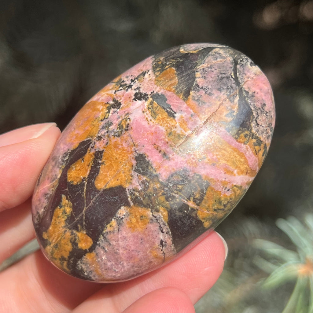 Palmstone rodonit Pakistan model 3, druzy.ro, pietre semipretioase 3