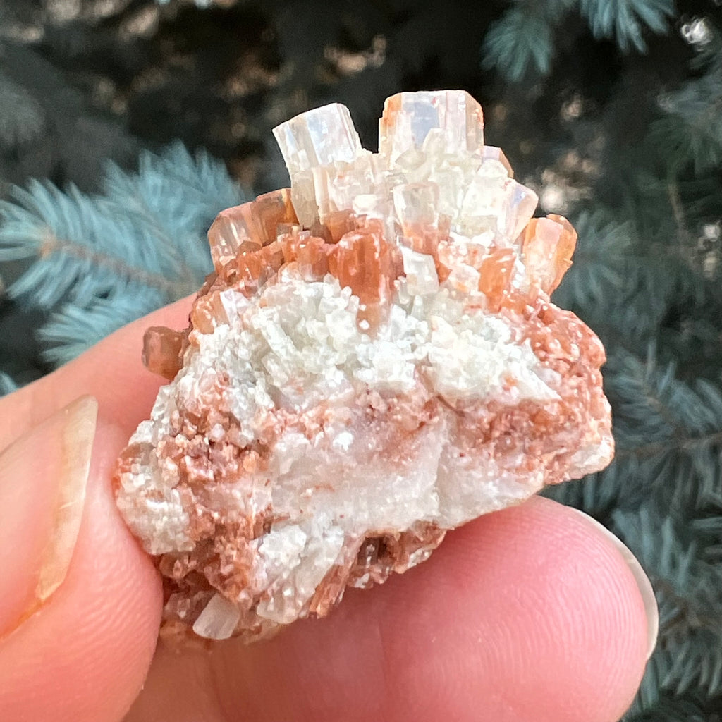 Cluster cristal aragonit din Maroc model 5, druzy.ro, pietre semipretioase 4