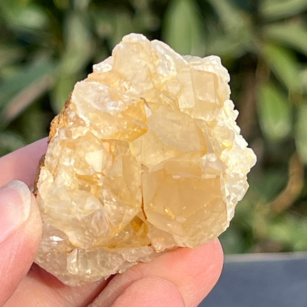 Cluster cuart lamaie Zambia, golden healer model 55, pietre semipretioase - druzy.ro 7 