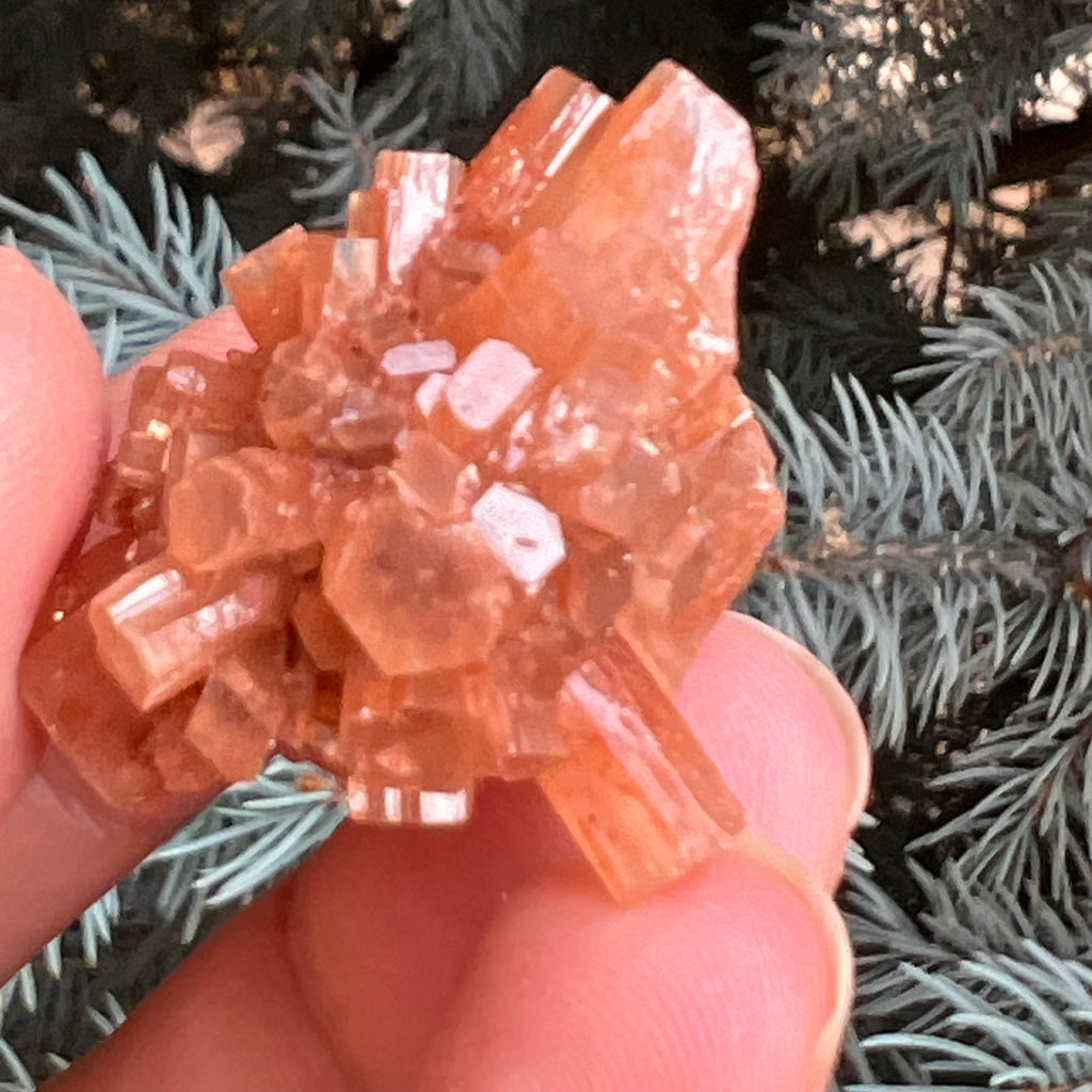 Cluster cristal aragonit din Maroc model 11, druzy.ro, pietre semipretioase 1