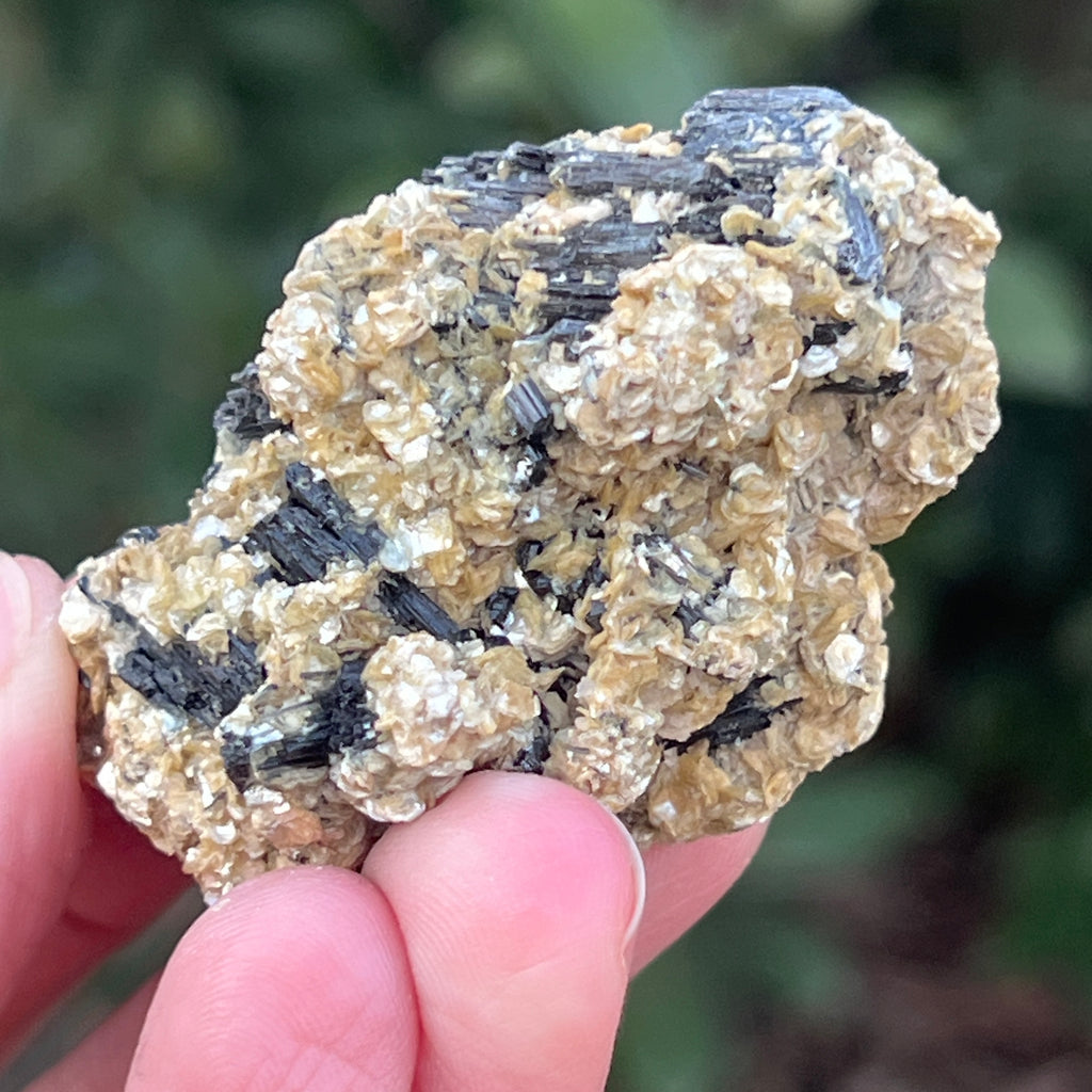 Cluster turmalina neagra cu vermiculita din Erongo m19, pietre semipretioase - druzy.ro 8 