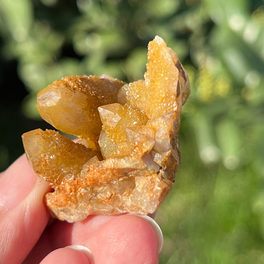 Cluster lemonit / cuart spirit solar Africa de Sud model 3, pietre semipretioase - druzy.ro 4 