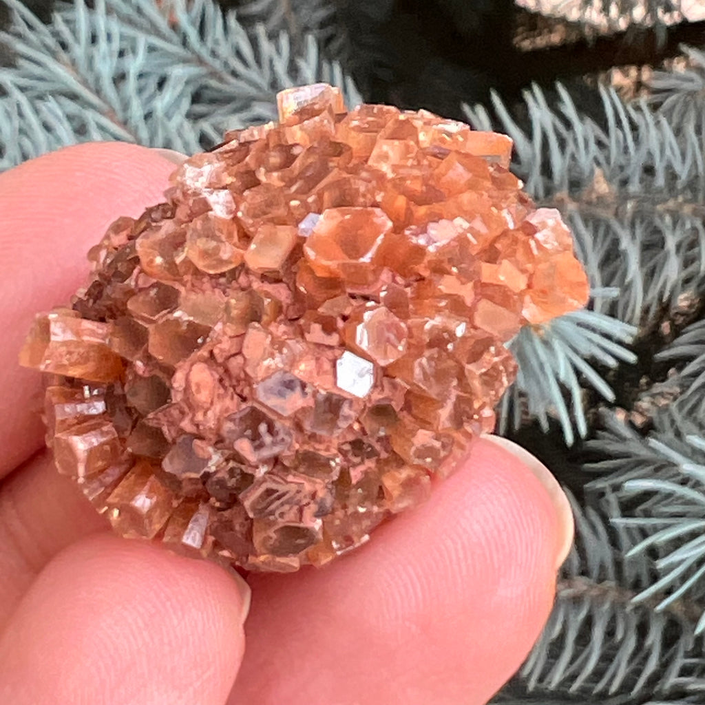 Cluster cristal aragonit din Maroc model 9, druzy.ro, pietre semipretioase 1