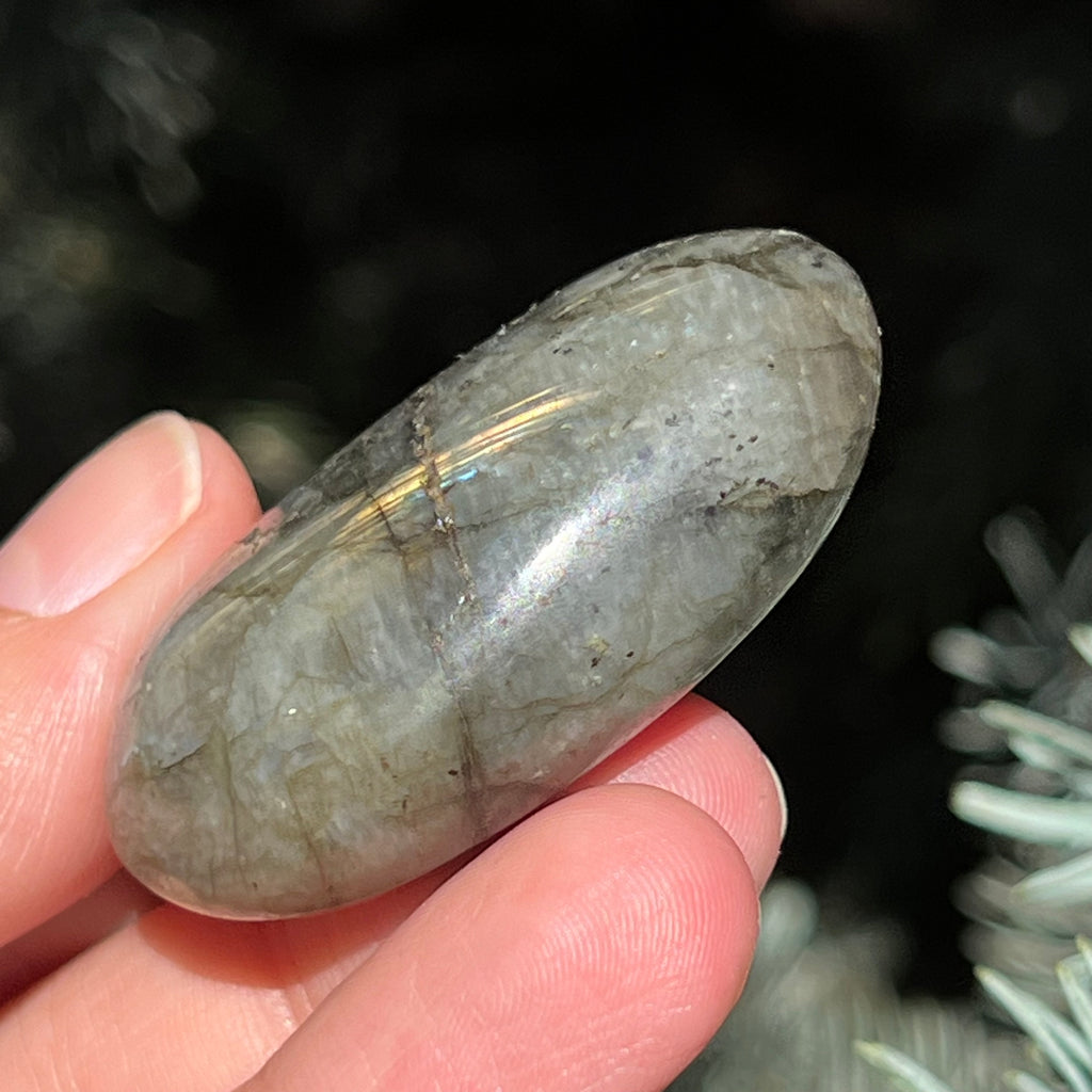 Labradorit palm stone m14, druzy.ro, cristale 5