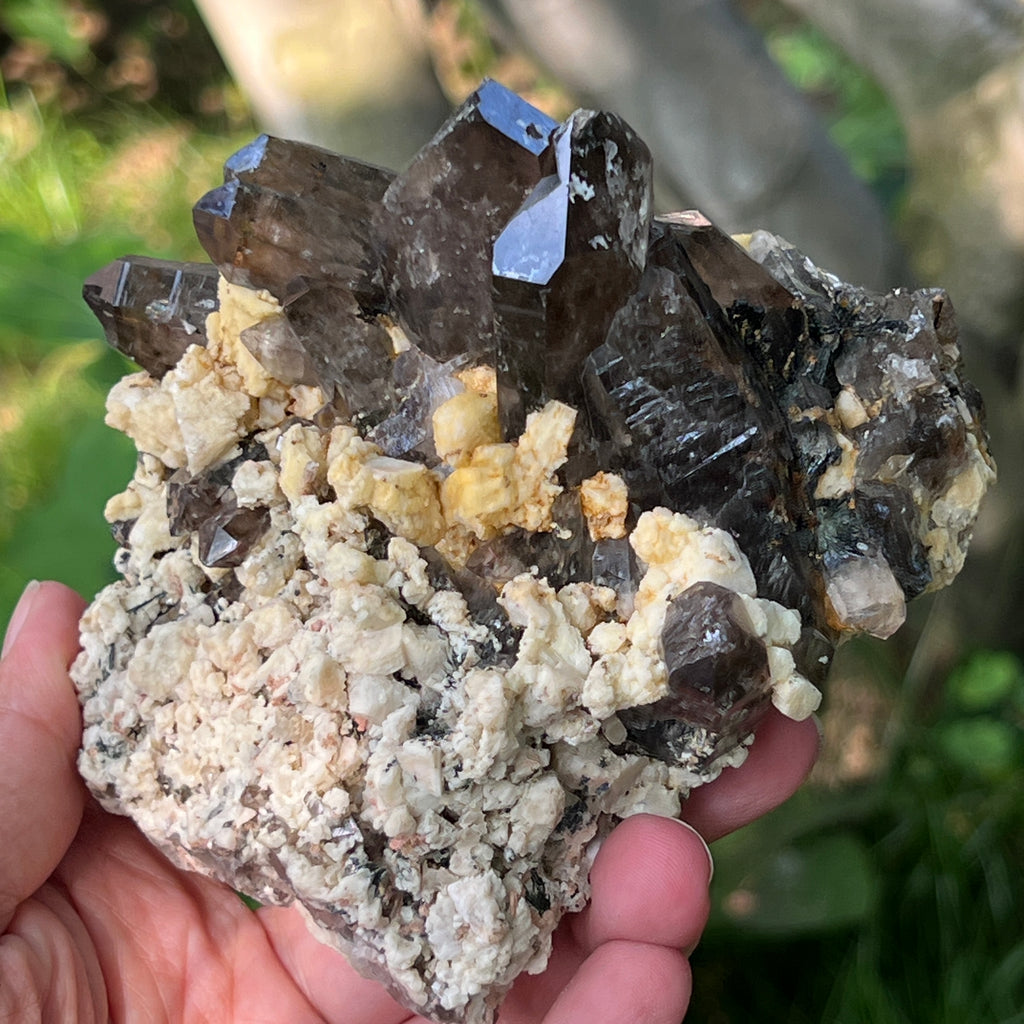 Specimen cluster cuart fumuriu m5, pietre semipretioase - druzy.ro 4 