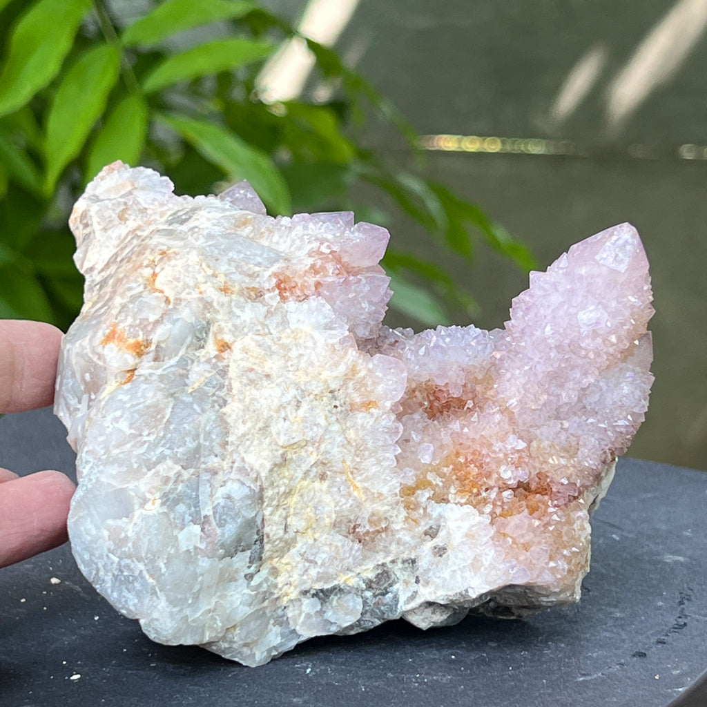 Specimen ametist cuart spirit din Africa de Sud | Model 19, pietre semipretioase - druzy.ro 3 