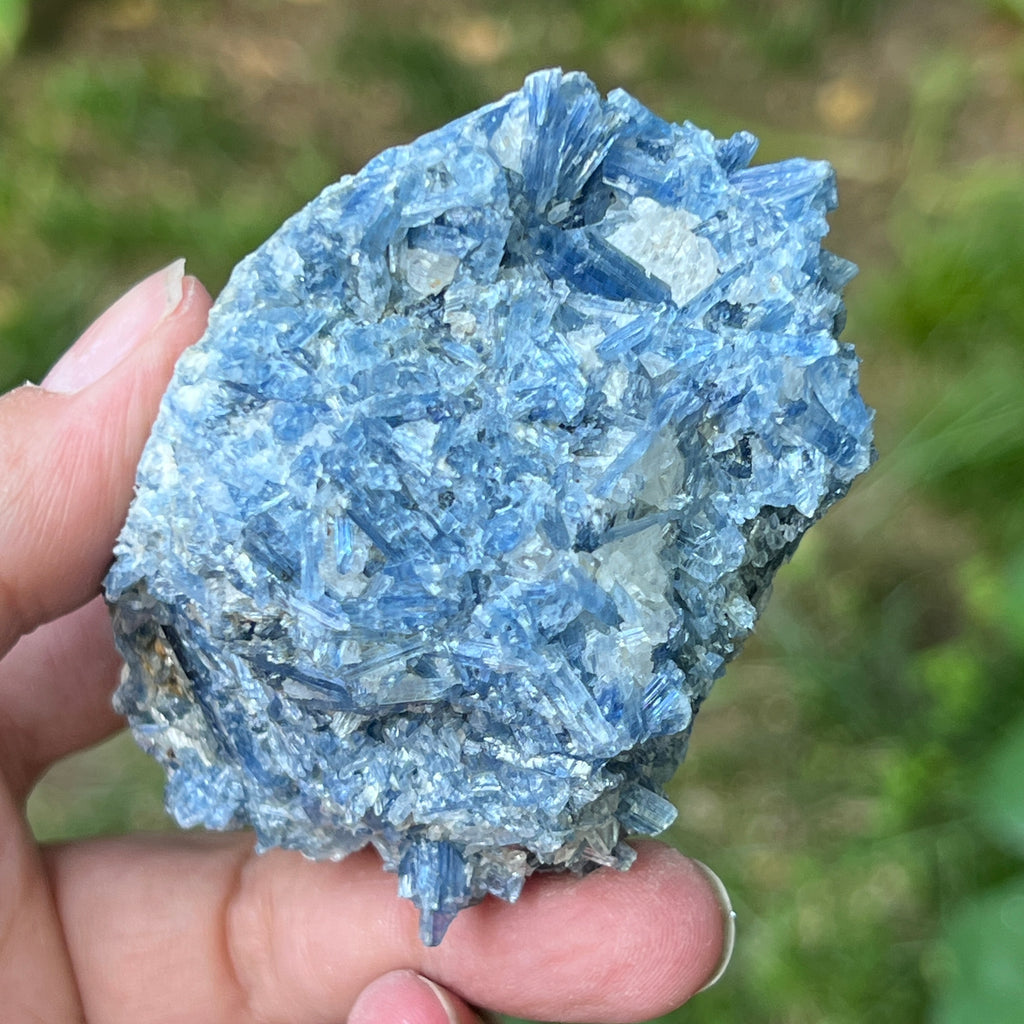 Kianit albastru (Cianit) piatra bruta din Zimbabwe model 5, pietre semipretioase - druzy.ro 3 