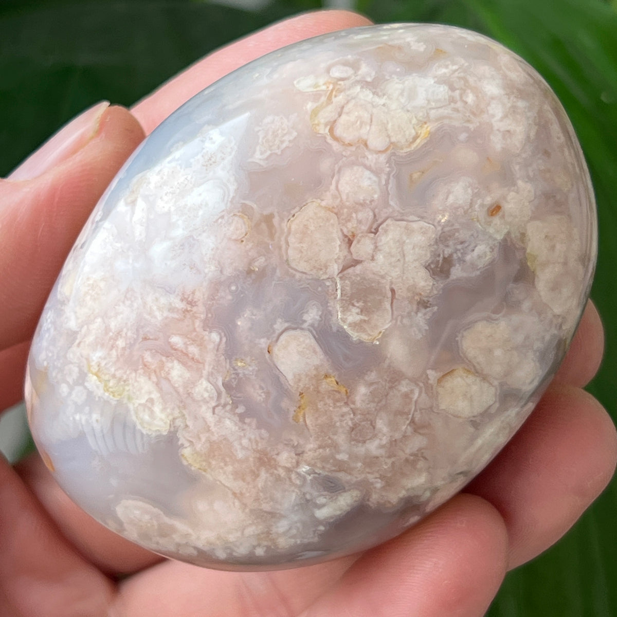 Palmstone agat coral floare rosu m31 – DRUZY