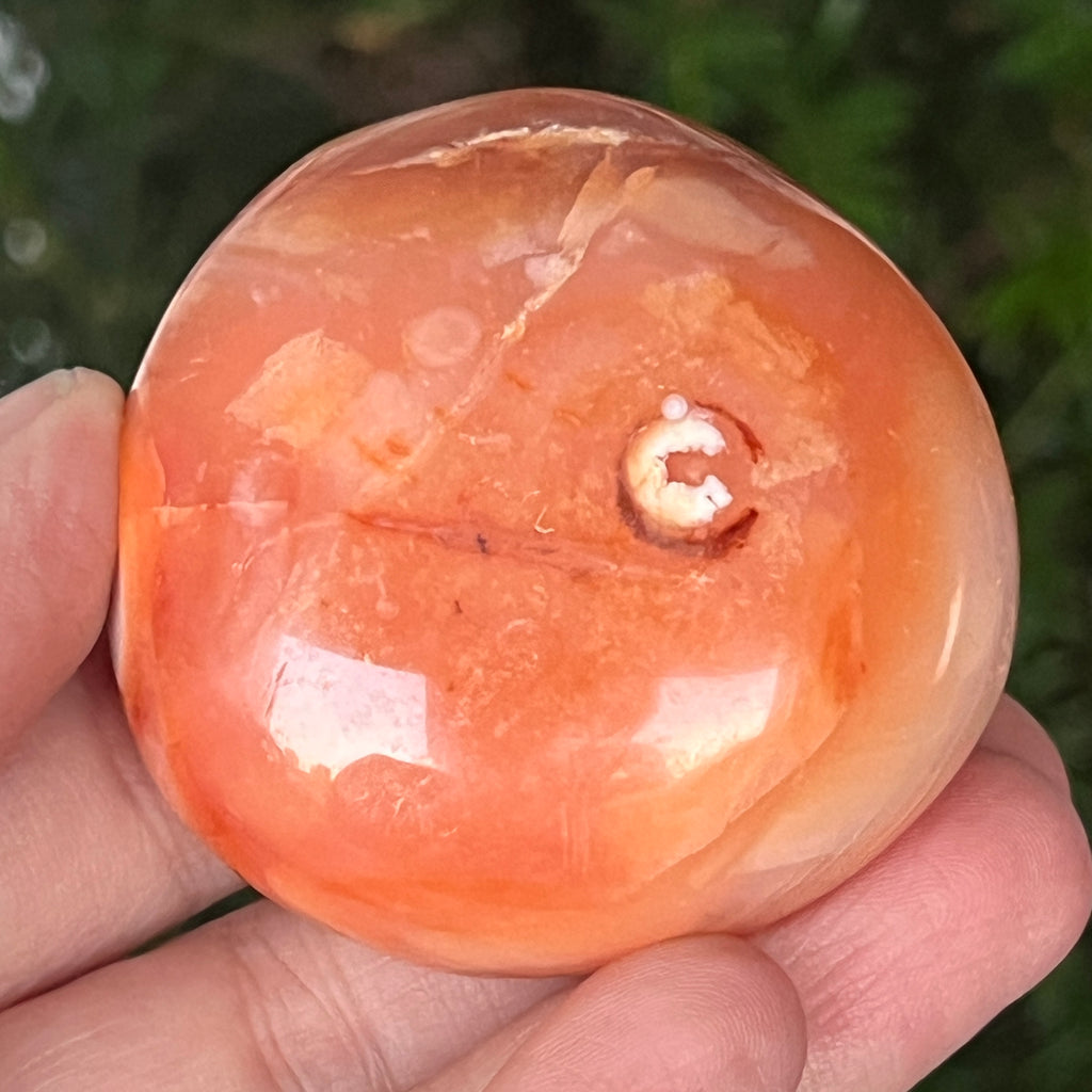 Black Friday - Reduceri -  Promotie