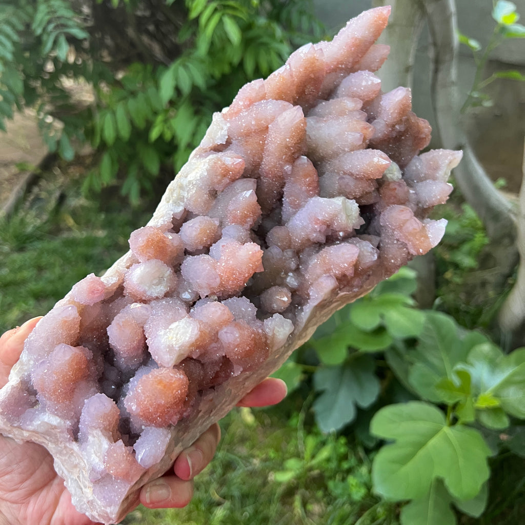 Specimen cluster cuart cactus / spirit ametist liliac Africa de Sud model XXL1, pietre semipretioase - druzy.ro 1 