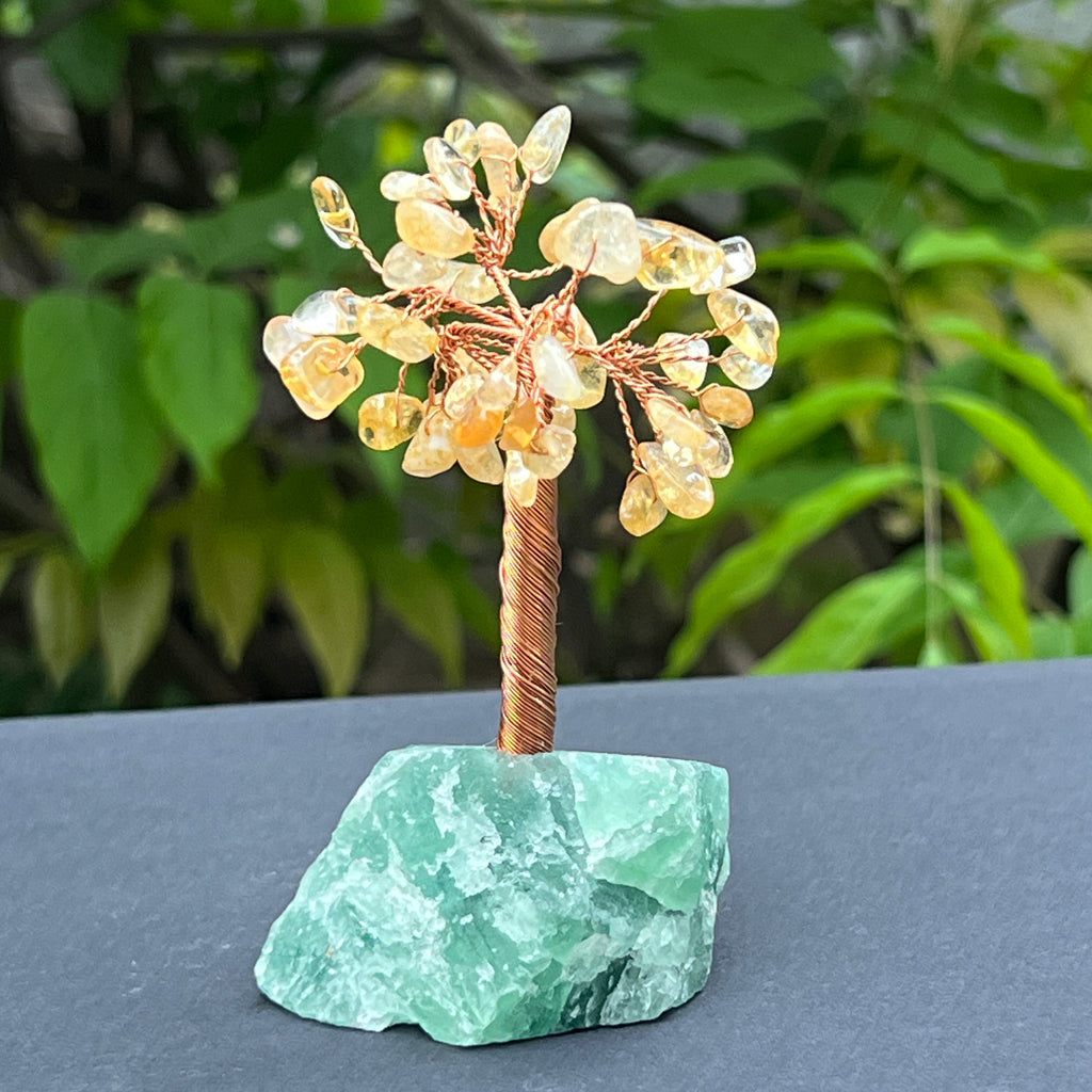 Copac feng shui cu citrin pe bază de fluorit – mărime S, pietre semipretioase - druzy.ro 2 