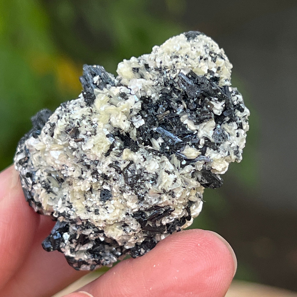 Cluster turmalina neagra cu vermiculita din Erongo m19, pietre semipretioase - druzy.ro 10 