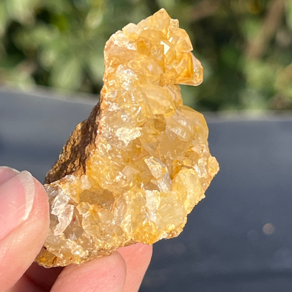 Cluster cuart lamaie Zambia, golden healer model 51, pietre semipretioase - druzy.ro 6 