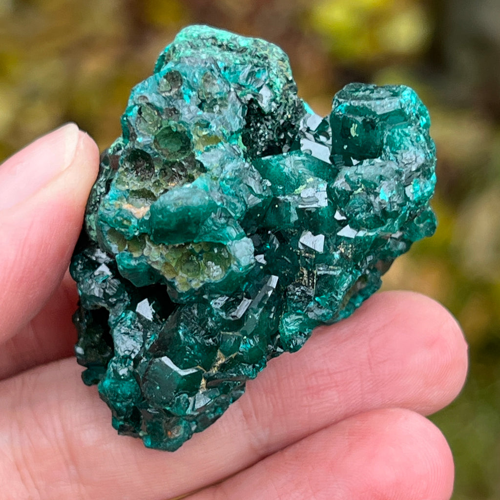 Dioptaz cluster din Congo model 6, pietre semipretioase - druzy.ro 16 