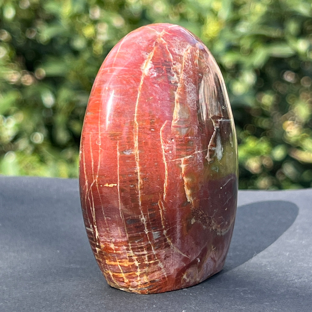 Lemn pietrificat sculptura model 4, pietre semipretioase - druzy.ro 3 