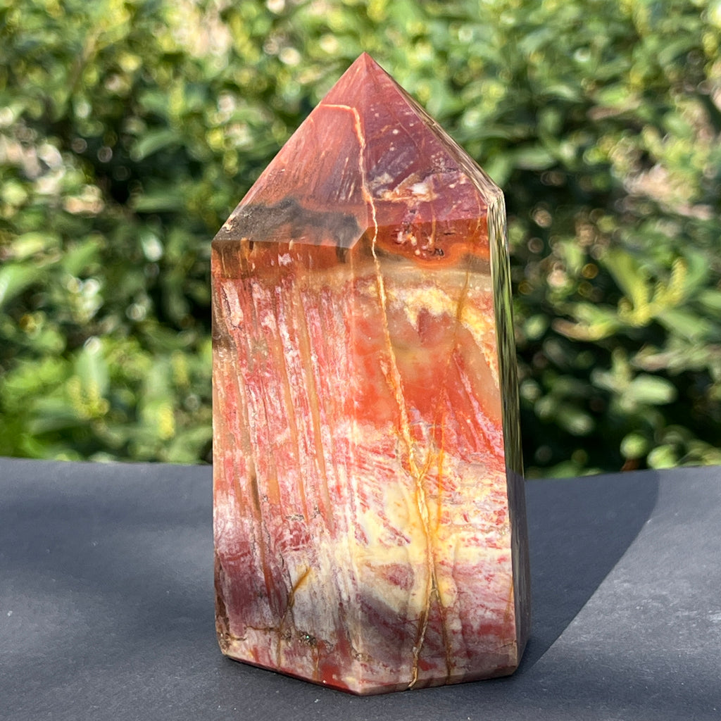 Obelisc lemn pietrificat m2, pietre semipretioase - druzy.ro 5 
