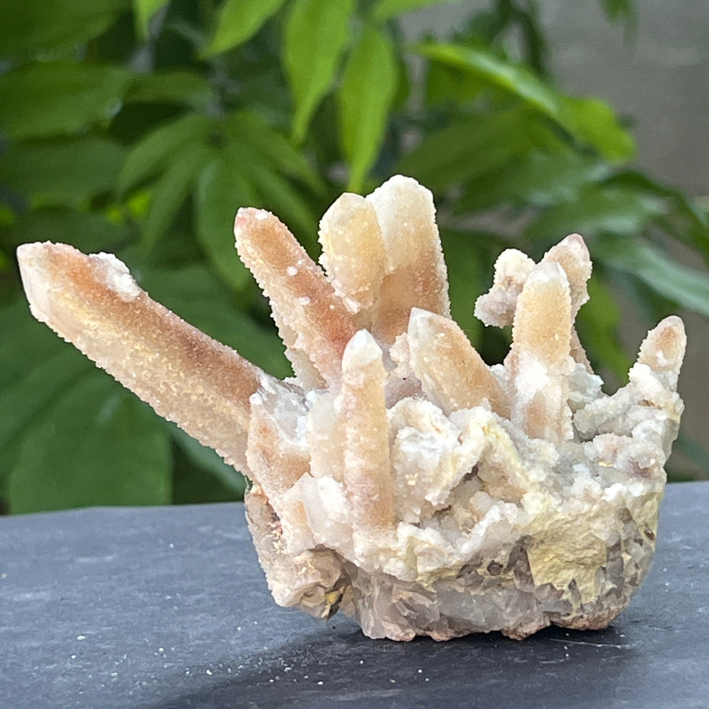 Cluster cuart spirit stalactit | Model 3, pietre semipretioase - druzy.ro 1 