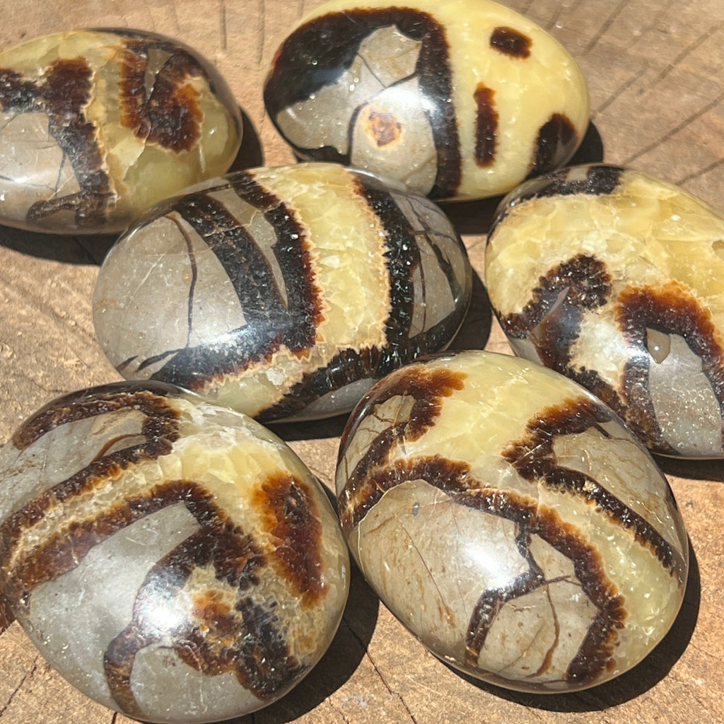 Septaria palm stone 5.5 cm, pietre semipretioase - druzy.ro 2 