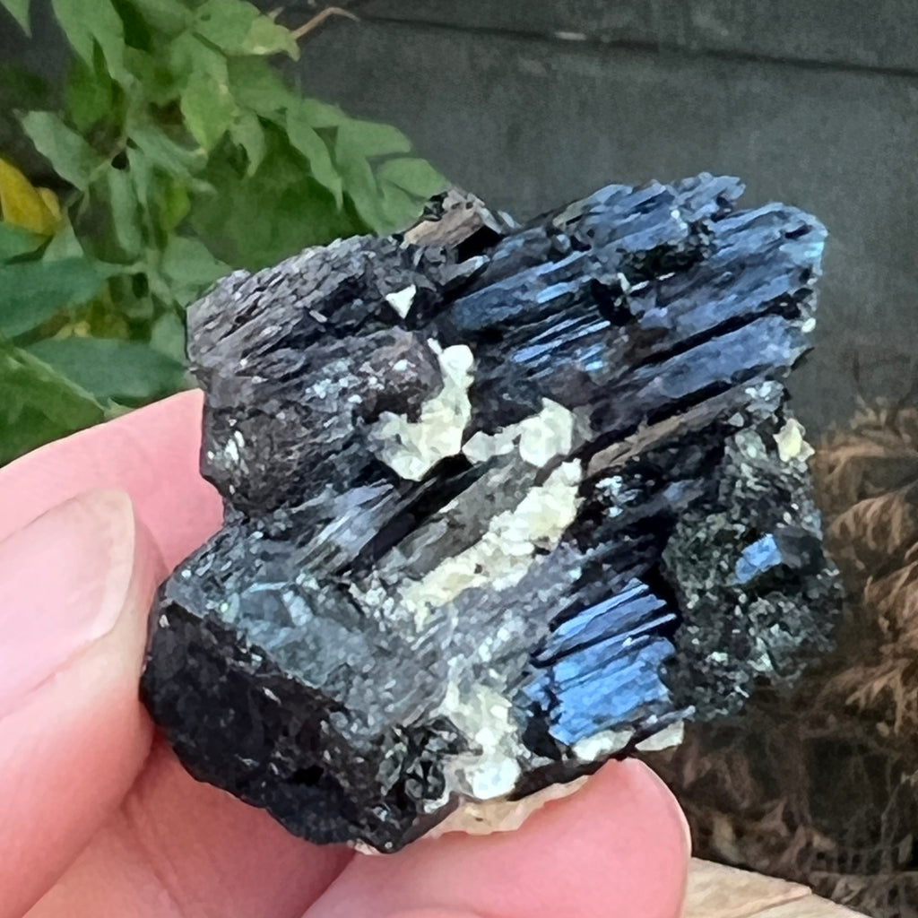 Cluster turmalina neagra cu vermiculita din Erongo m20, pietre semipretioase - druzy.ro 7 