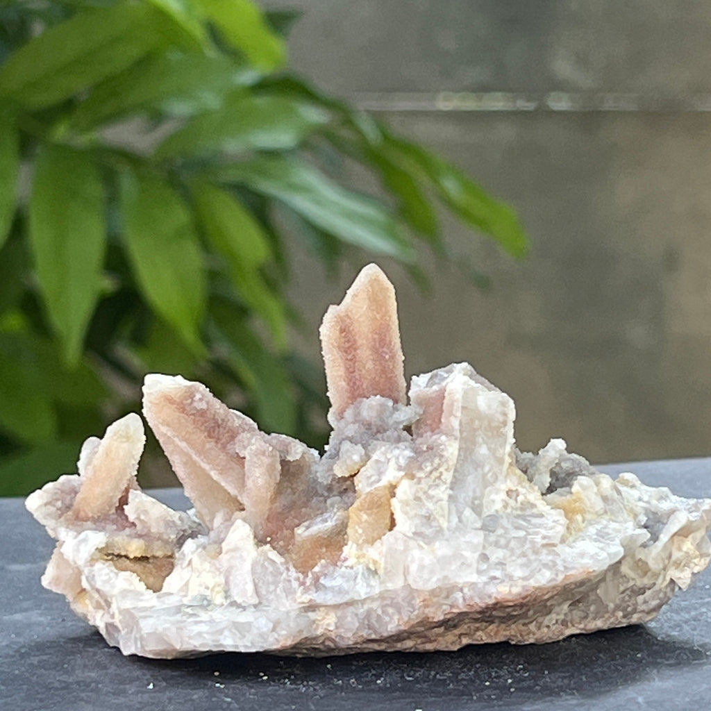 Cluster cuart spirit stalactit | Model 8, pietre semipretioase - druzy.ro 7 