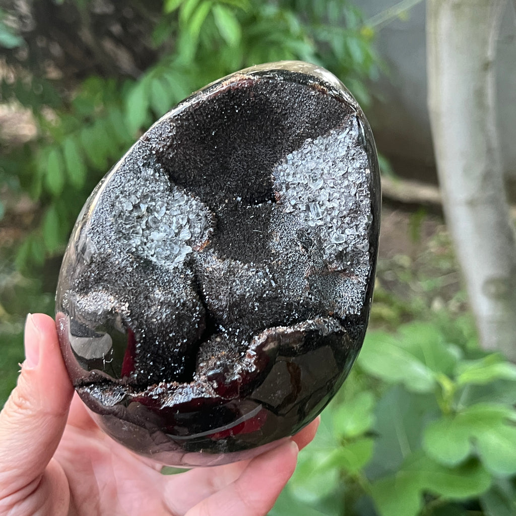 Ou Septaria din Madagascar, piatra dragonului, XL1, pietre semipretioase - druzy.ro 2 