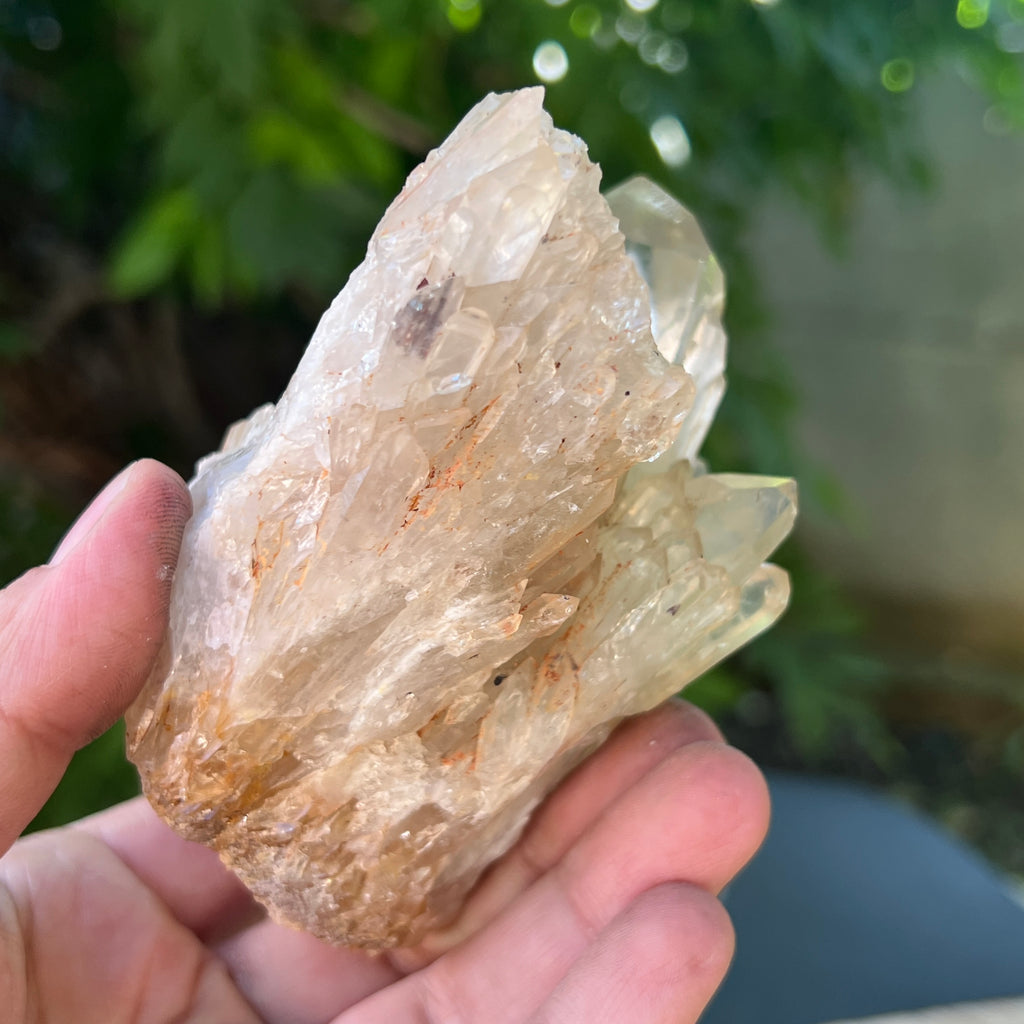 Citrin din Congo – specimen natural, netratat | Model 11, pietre semipretioase - druzy.ro 4 