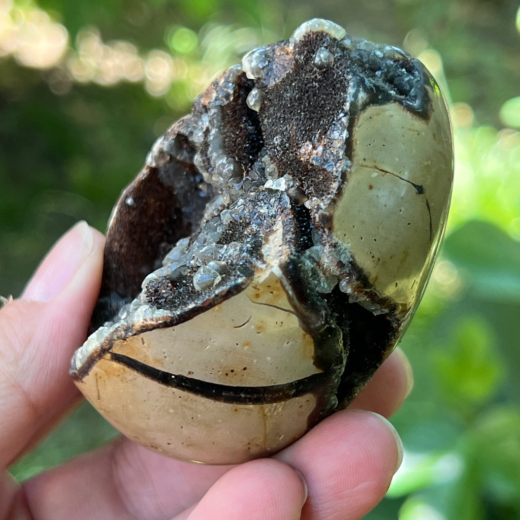 Ou Septaria din Madagascar , piatra dragonului | Model 3, pietre semipretioase - druzy.ro 3 