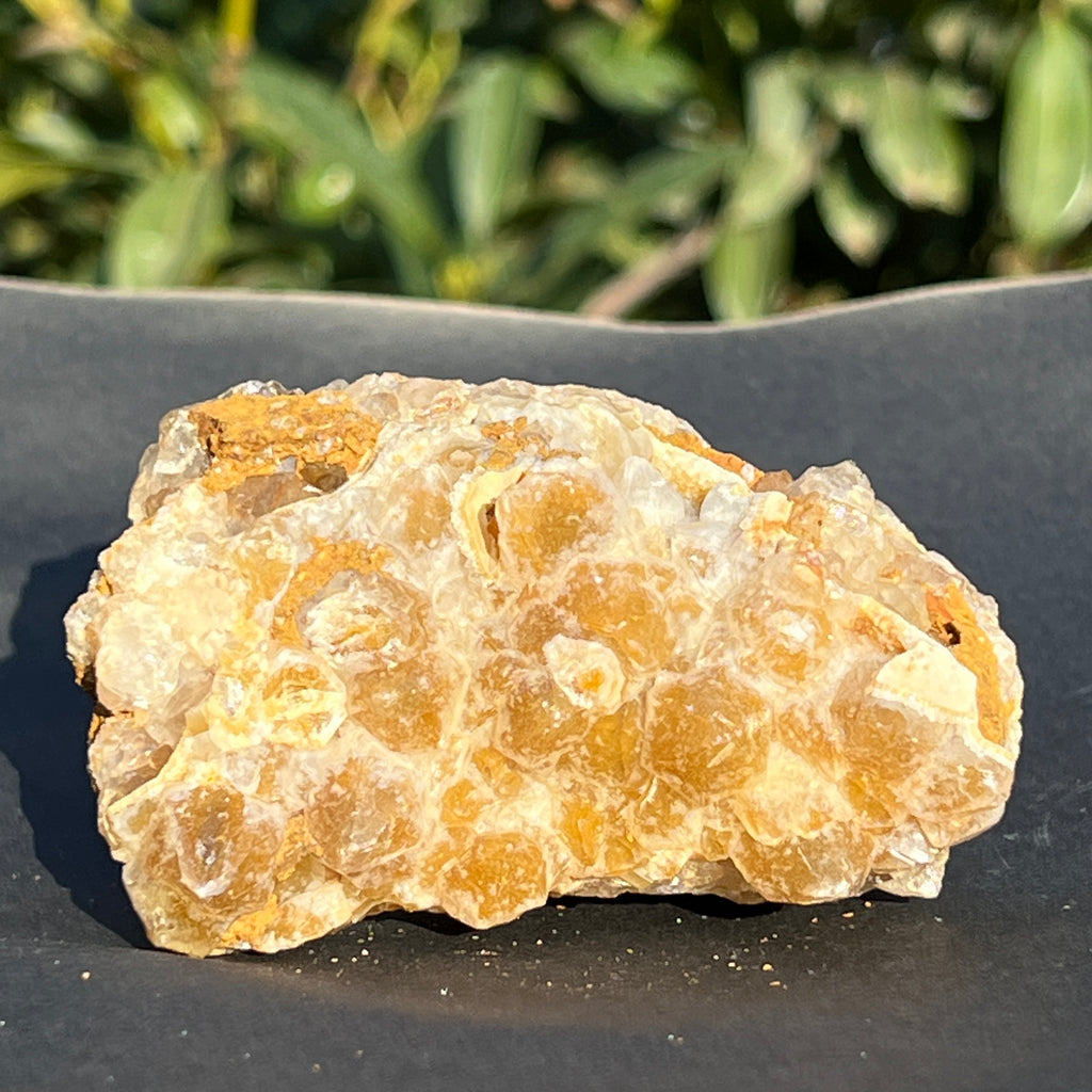 Cluster cuart lamaie Zambia, golden healer model 36, pietre semipretioase - druzy.ro 4 