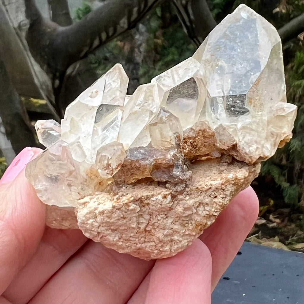 Cluster cuart incolor, floare de mina, cristal de stanca Zimbabwe m8, druzy.ro, cristale 4