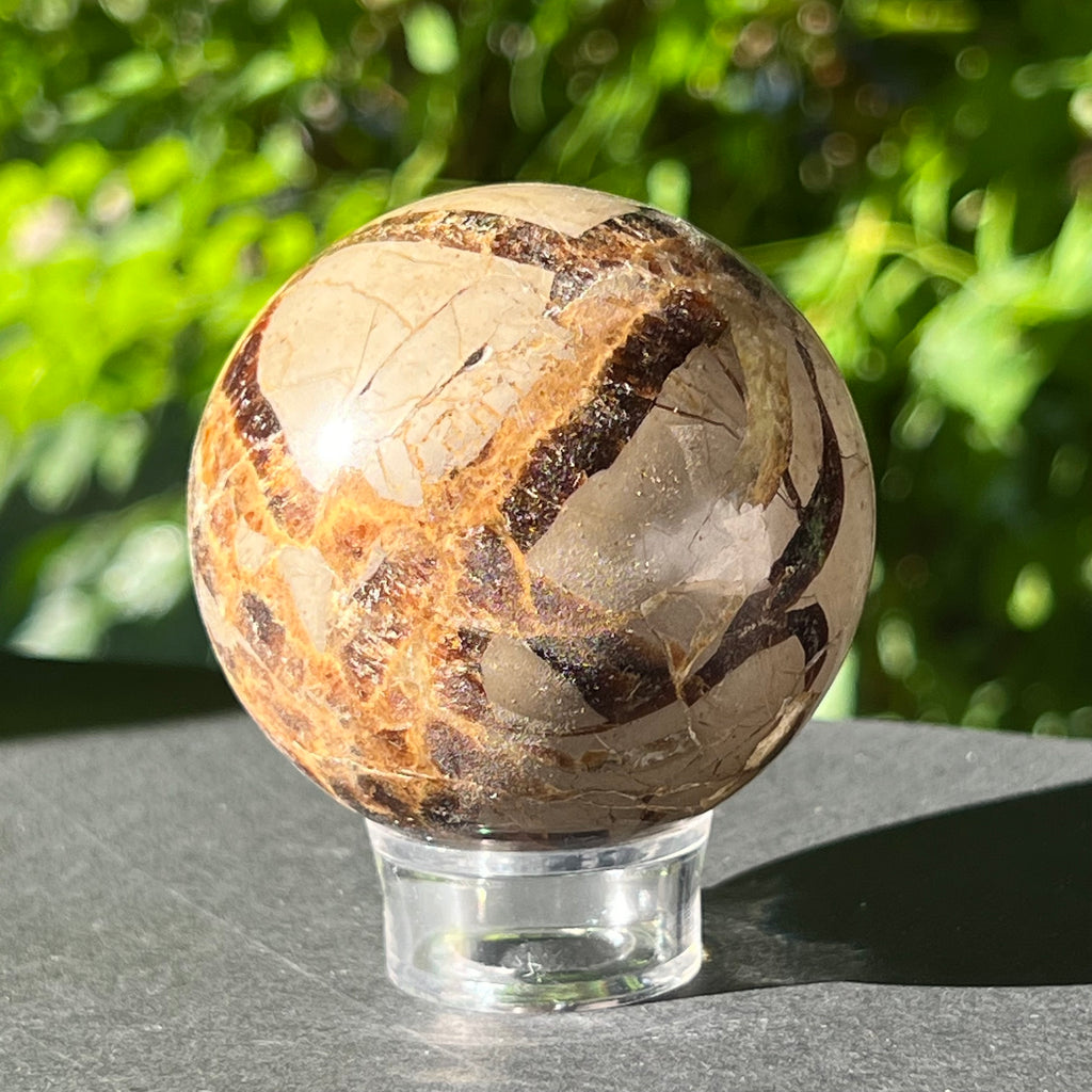 Septaria sfera 6 cm model 6, pietre semipretioase - druzy.ro 3