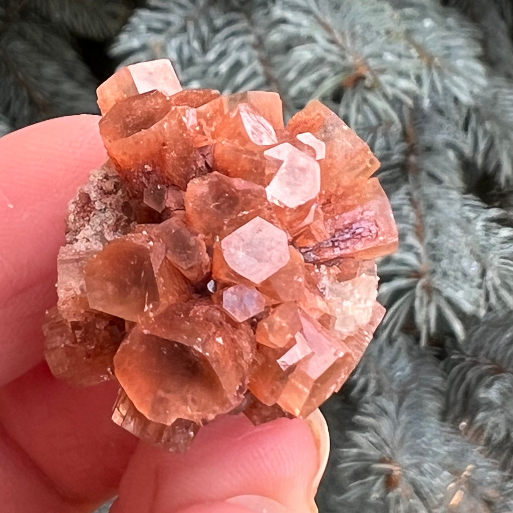 Cluster cristal aragonit din Maroc model 8, druzy.ro, cristale 3