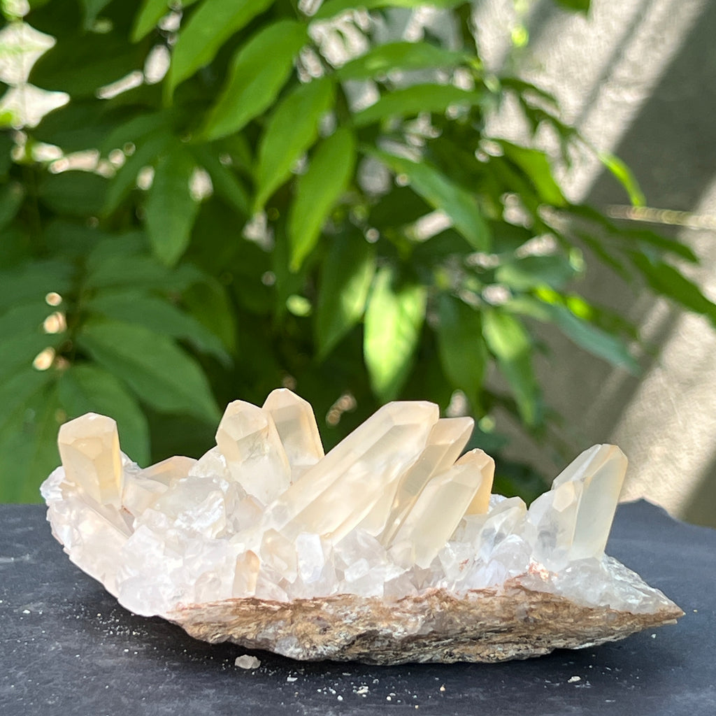 Floare de mina, cluster cuart ICY | Model 11, pietre semipretioase - druzy.ro 2 