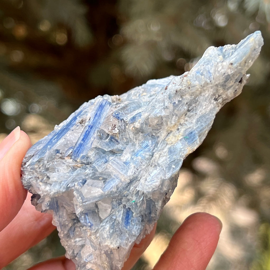 Kianit albastru (Cianit) piatra bruta din Zimbabwe model 10, druzy.ro, cristale 3