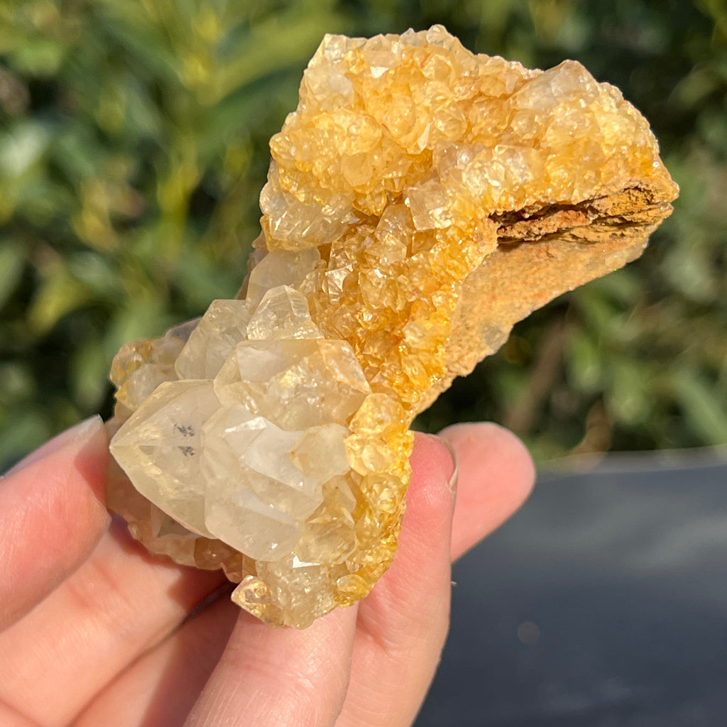 Cluster cuart lamaie Zambia, golden healer model 47, pietre semipretioase - druzy.ro 5 