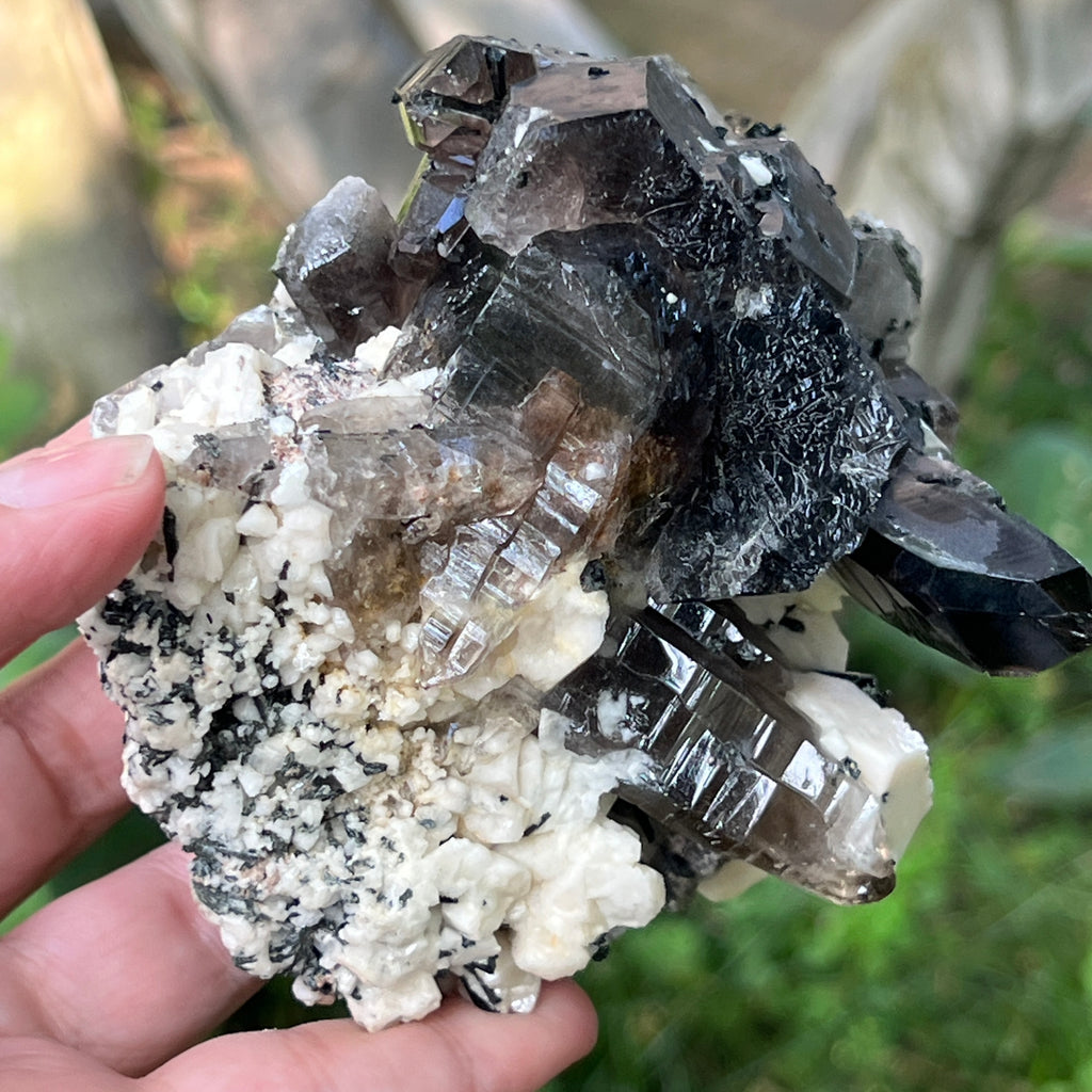 Specimen cluster cuart fumuriu m4, pietre semipretioase - druzy.ro 10 
