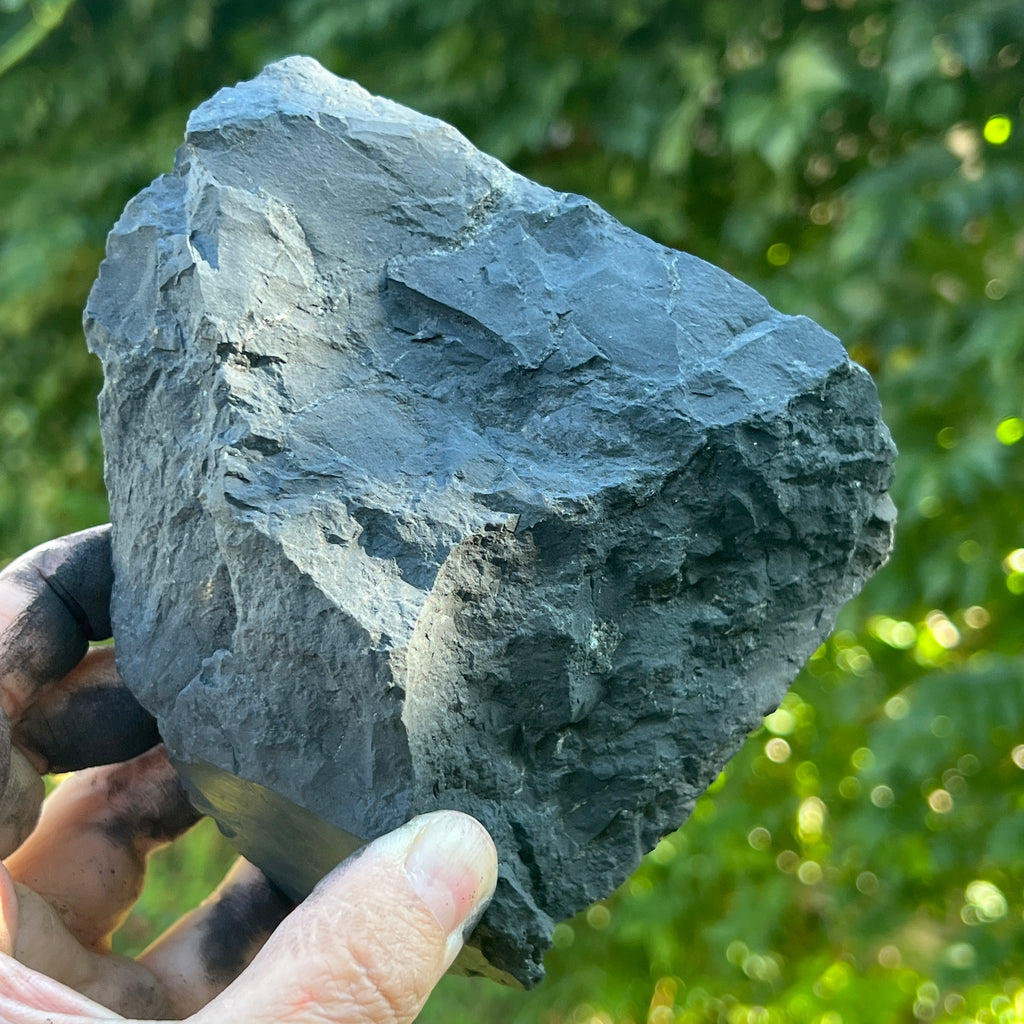 Shungit piatra bruta XXL model 2, pietre semipretioase - druzy.ro 2 