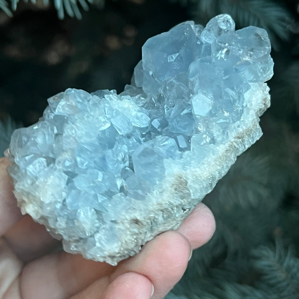 Celestit / celestina cluster m16, pietre semipretioase - druzy.ro 4 