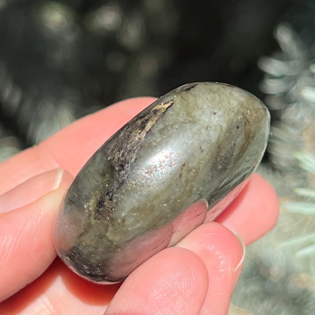 Labradorit palm stone m21, druzy.ro, cristale 7