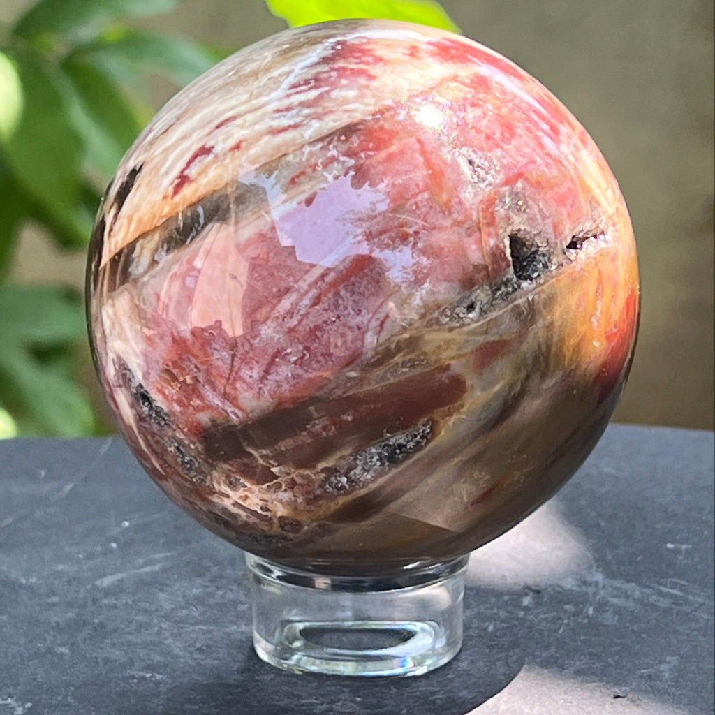Sfera lemn pietrificat | Model 1, pietre semipretioase - druzy.ro 1 