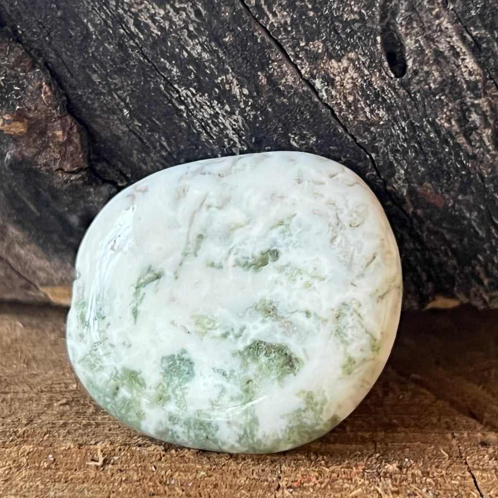 Palmstone agat muschi moss, pietre semipretioase - druzy.ro 2 